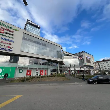 The Butterfly Sarajevo